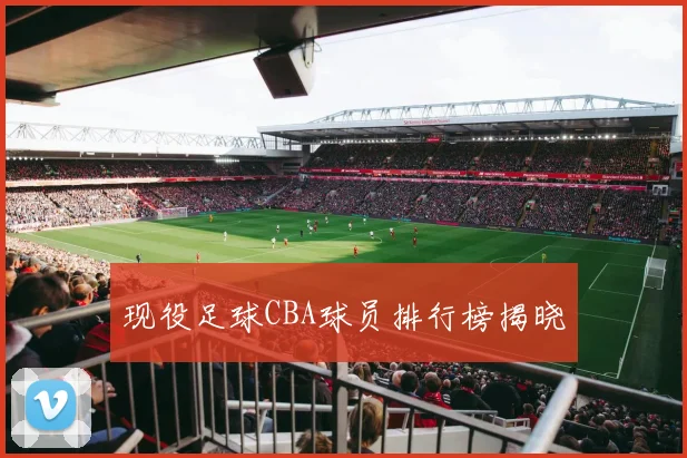 现役足球CBA球员排行榜揭晓