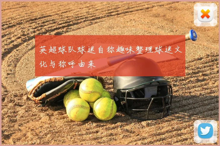 英超球队球迷自称趣味整理球迷文化与称呼由来