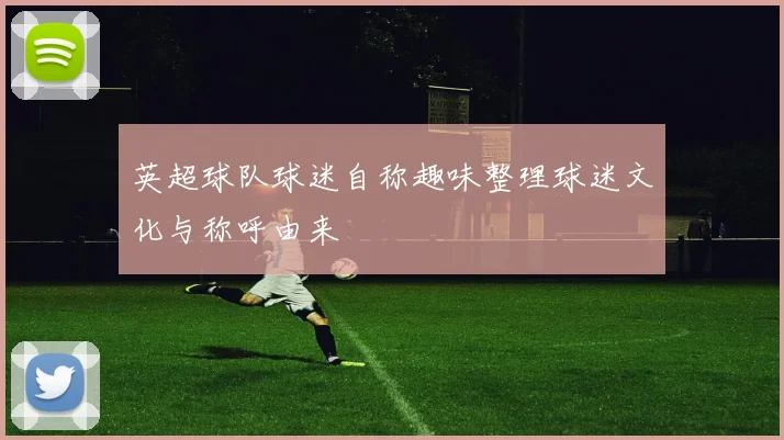 英超球队球迷自称趣味整理球迷文化与称呼由来