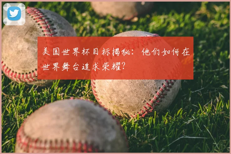 美国世界杯目标揭秘:他们如何在世界舞台追求荣耀?